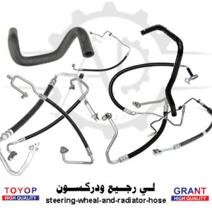 لي رجيع و دركسيون